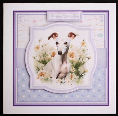 ITALIAN GREYHOUNDS by Marion Kimberley-Scott