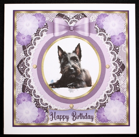 Purple framed Scottish terrier card front 1 by Marion Kimberley-Scott