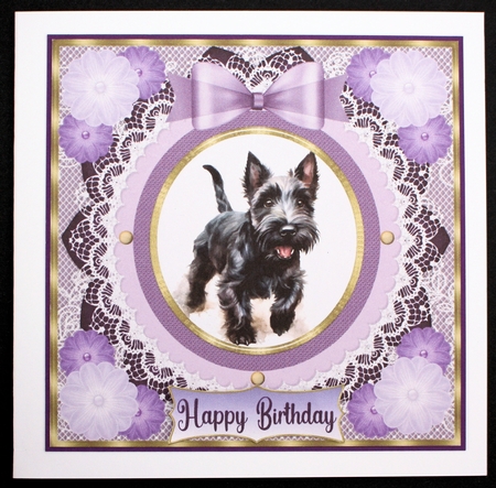 Purple framed Scottish terrier card front 2 by Marion Kimberley-Scott