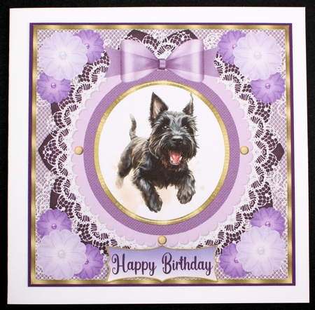 Purple framed Scottish terrier card front 4 by Marion Kimberley-Scott