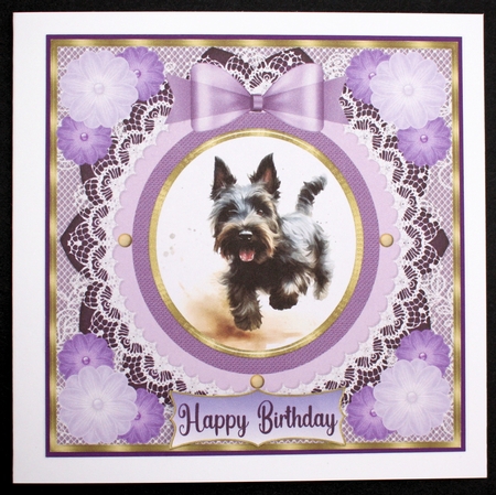 Purple framed Scottish terrier card front 6 by Marion Kimberley-Scott