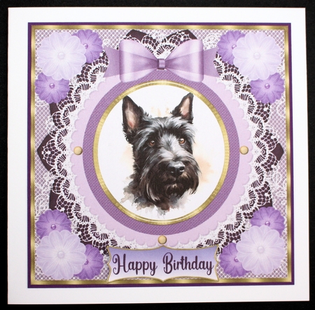 Purple framed Scottish terrier card front 7 by Marion Kimberley-Scott