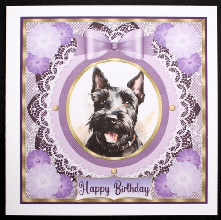 Purple framed Scottish terrier card front 12 by Marion Kimberley-Scott