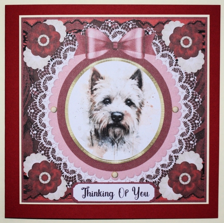 Red Westie card front 5 by Marion Kimberley-Scott