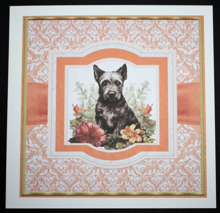 Vintage Scottish terrier puppy card front 2 by Marion Kimberley-Scott