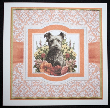 Vintage Scottish terrier puppy card front 5 by Marion Kimberley-Scott