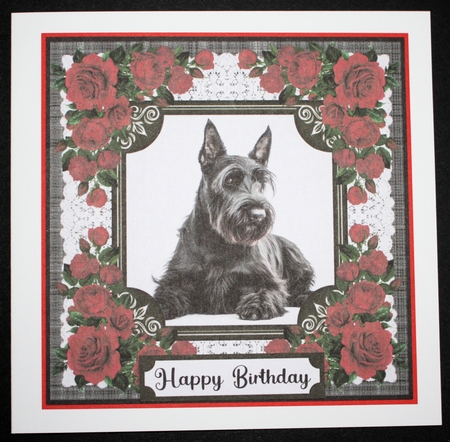 Lace and red roses Scottish terrier card front 1 by Marion Kimberley-Scott