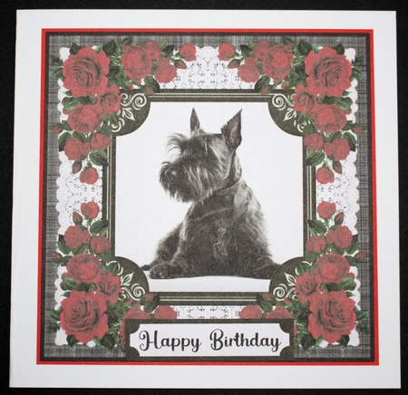 Lace and red roses Scottish terrier card front 2 by Marion Kimberley-Scott