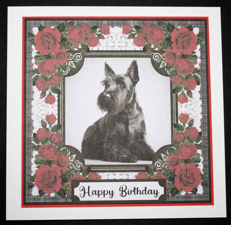 Lace and red roses Scottish terrier card front 3 by Marion Kimberley-Scott