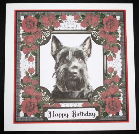Lace and red roses Scottish terrier card front 5 by Marion Kimberley-Scott