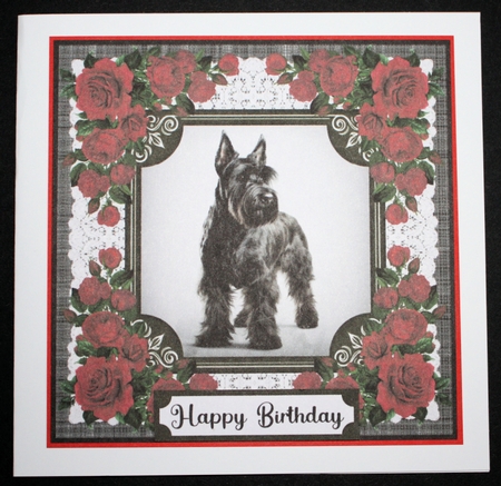 Lace and red roses Scottish terrier card front 7 by Marion Kimberley-Scott