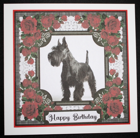 Lace and red roses Scottish terrier card front 8 by Marion Kimberley-Scott