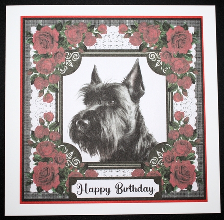 Lace and red roses Scottish terrier card front 10 by Marion Kimberley-Scott