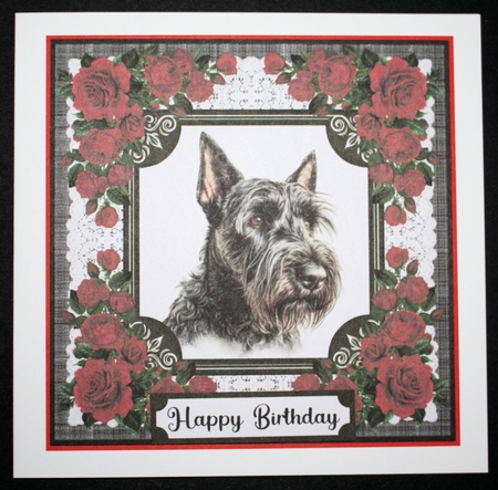 Lace and red roses Scottish terrier card front 11 by Marion Kimberley-Scott