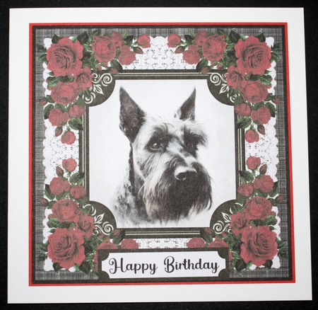 Lace and red roses Scottish terrier card front 12 by Marion Kimberley-Scott