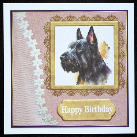 Framed Scottish terrier card front 1 by Marion Kimberley-Scott