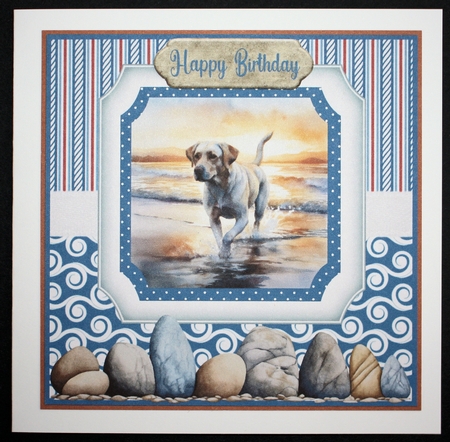 Beach Lab card front 4 by Marion Kimberley-Scott