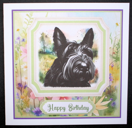 Multi sentiment floral Scottish terrier card front 1 by Marion Kimberley-Scott