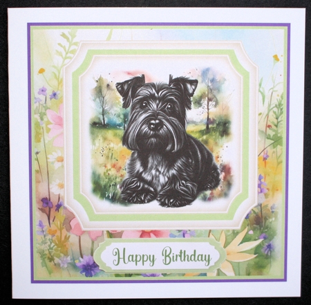 Multi sentiment floral Scottish terrier card front 2 by Marion Kimberley-Scott