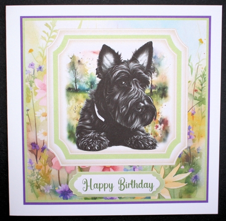 Multi sentiment floral Scottish terrier card front 3 by Marion Kimberley-Scott