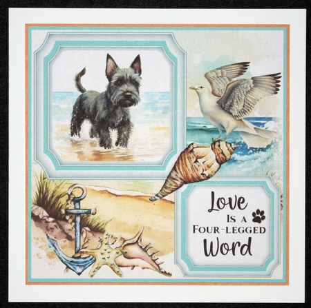 Scottish terrier on the beach card front (new) 1 by Marion Kimberley-Scott