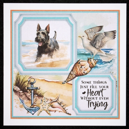 Scottish terrier on the beach card front (new) 3 by Marion Kimberley-Scott