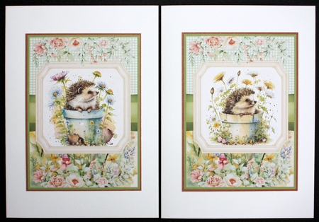 2 Framed floral hedgehog card fronts 1 by Marion Kimberley-Scott