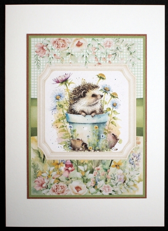 2 Framed floral hedgehog card fronts 1 by Marion Kimberley-Scott