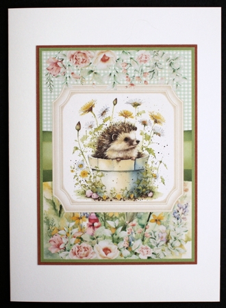 2 Framed floral hedgehog card fronts 1 by Marion Kimberley-Scott