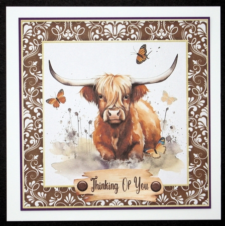 Framed Highland cow card front 1 by Marion Kimberley-Scott