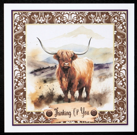 Framed Highland cow card front 2 by Marion Kimberley-Scott