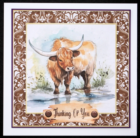 Framed Highland cow card front 3 by Marion Kimberley-Scott
