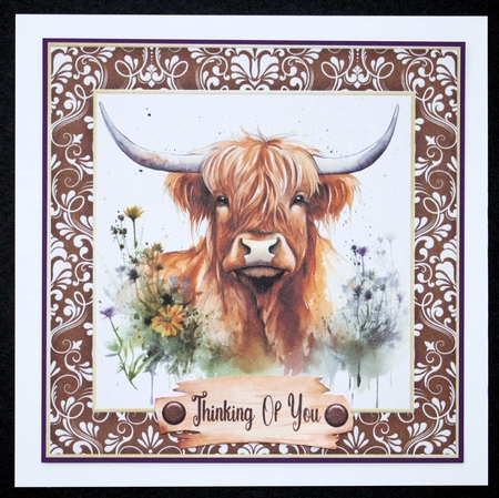Framed Highland cow card front 5 by Marion Kimberley-Scott