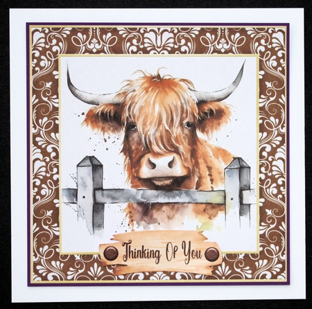 Framed Highland cow card front 6 by Marion Kimberley-Scott
