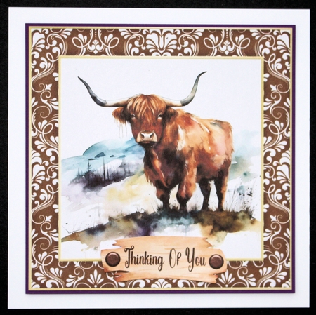 Framed Highland cow card front 7 by Marion Kimberley-Scott