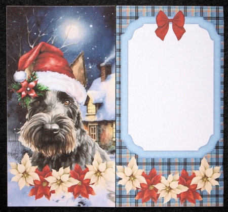 Scottish terrier Christmas money wallet(no verse) 1 by Marion Kimberley-Scott