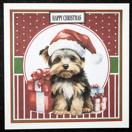 CHRISTMAS DOG 7 by Marion Kimberley-Scott