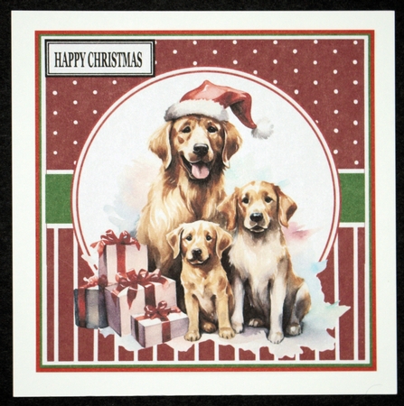 CHRISTMAS DOG 1 by Marion Kimberley-Scott