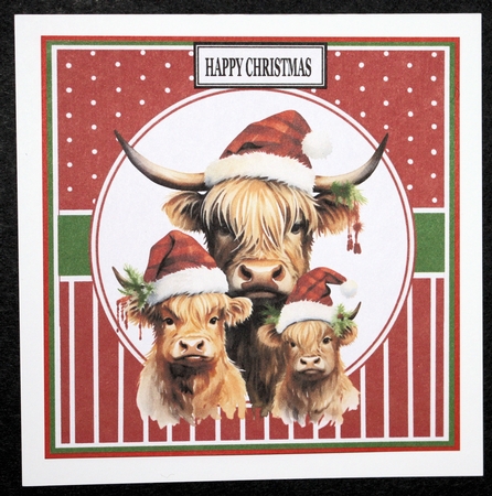 CHRISTMAS HIGHLAND COW FAMILY by Marion Kimberley-Scott