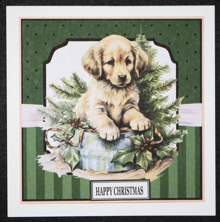 CHRISTMAS PUPPY by Marion Kimberley-Scott