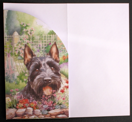 Scottish terrier in garden money/voucher wallet 1 by Marion Kimberley-Scott