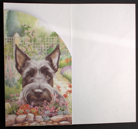 Scottish terrier in garden money/voucher wallet 2 by Marion Kimberley-Scott