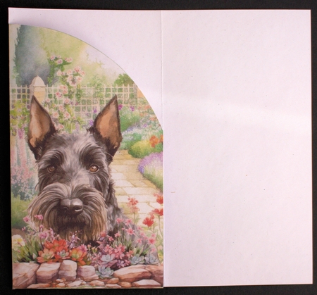 Scottish terrier in garden money/voucher wallet 3 by Marion Kimberley-Scott