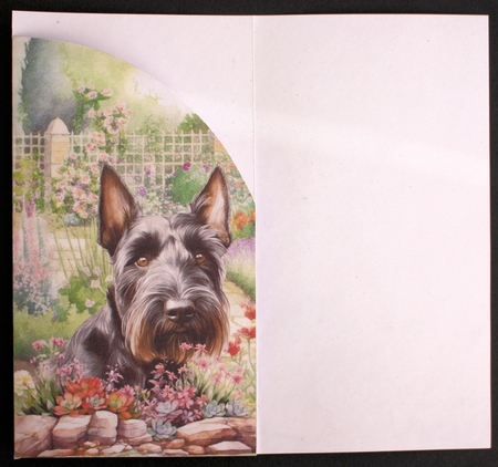 Scottish terrier in garden money/voucher wallet 4 by Marion Kimberley-Scott