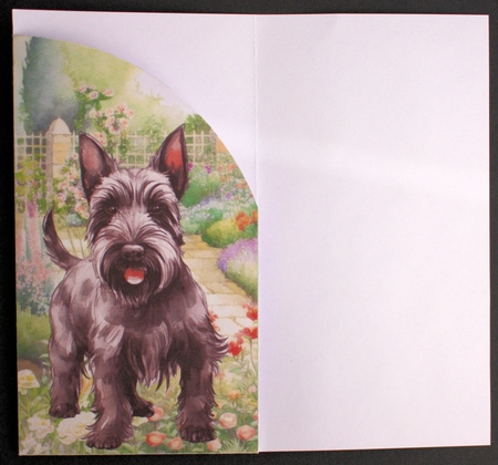 Scottish terrier in garden money/voucher wallet 6 by Marion Kimberley-Scott