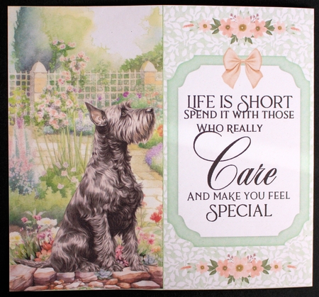 Scottish terrier in garden money/voucher wallet (with verse)5 by Marion Kimberley-Scott