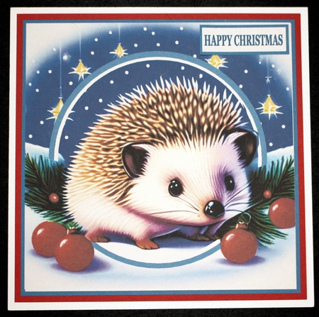 CHRISTMAS HEDGEHOG by Marion Kimberley-Scott