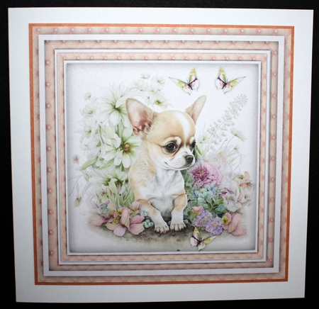 8x8 Mini Kit, Gorgeous Chihuahua and Butterflys by Marion Kimberley-Scott