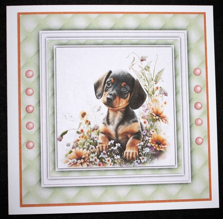 8x8 Mini Kit, Gorgeous Dachshund in the Flowers by Marion Kimberley-Scott