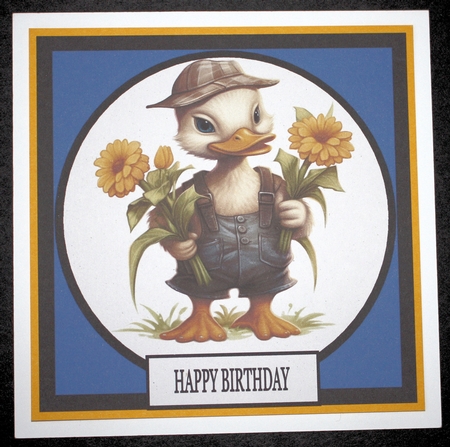 HAPPY BIRTHDAY SON DUCK by Marion Kimberley-Scott